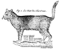 Chat des Chartreux, Buffon, Historiere naturelle 1756